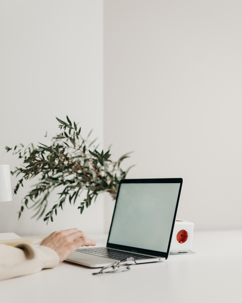 Cosa trovi dentro il videcorso